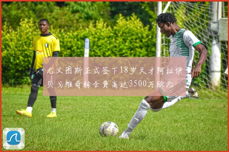 尤文图斯正式签下18岁天才阿拉伊贝戈维奇转会费高达3500万欧元