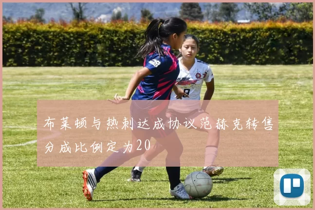 布莱顿与热刺达成协议范赫克转售分成比例定为20