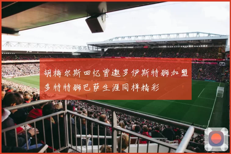 胡梅尔斯回忆曾邀罗伊斯特狮加盟多特特狮巴萨生涯同样精彩