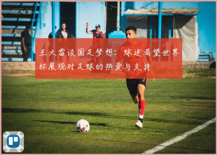 王大雷谈国足梦想：球迷渴望世界杯展现对足球的热爱与支持