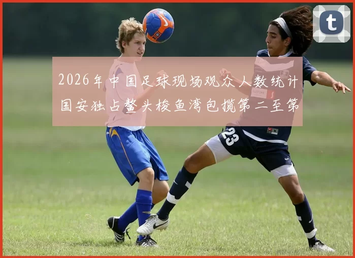 2026年中国足球现场观众人数统计国安独占鳌头梭鱼湾包揽第二至第七位