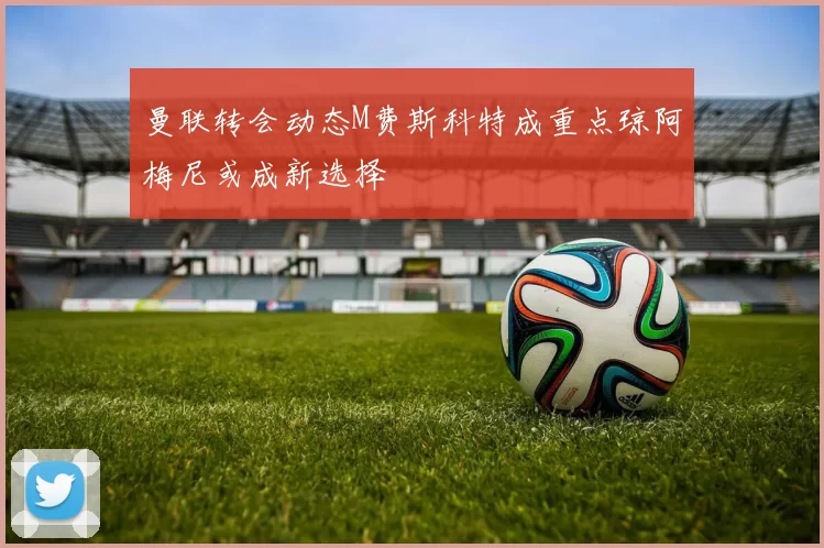 曼联转会动态M费斯科特成重点琼阿梅尼或成新选择